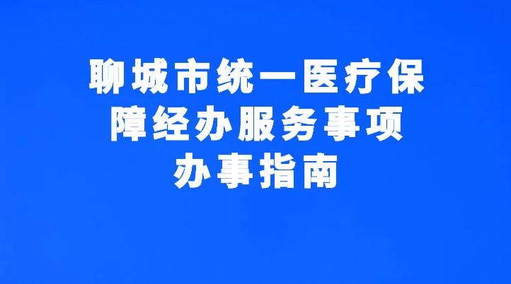 聊城市統一醫療保障經辦服務事項辦事指南